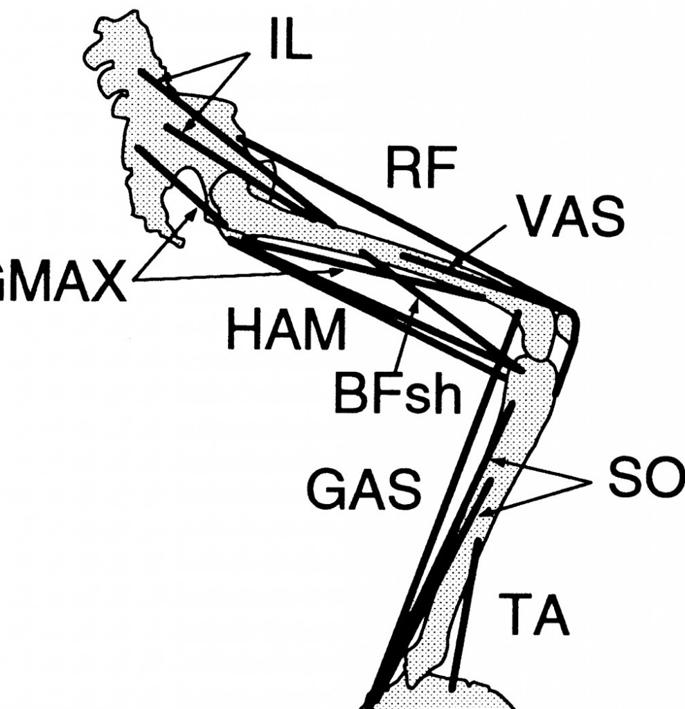 9k0790328001