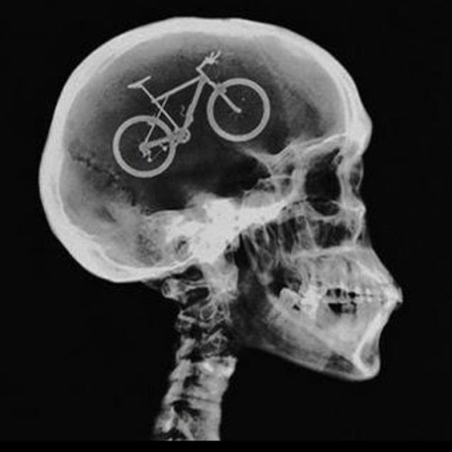 brain bicycle