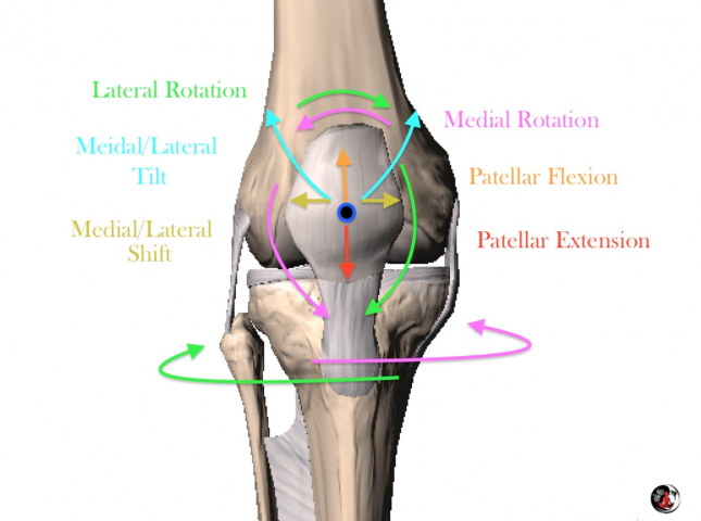 Basic Knee Function Cycling – BicycleFitGuru.com