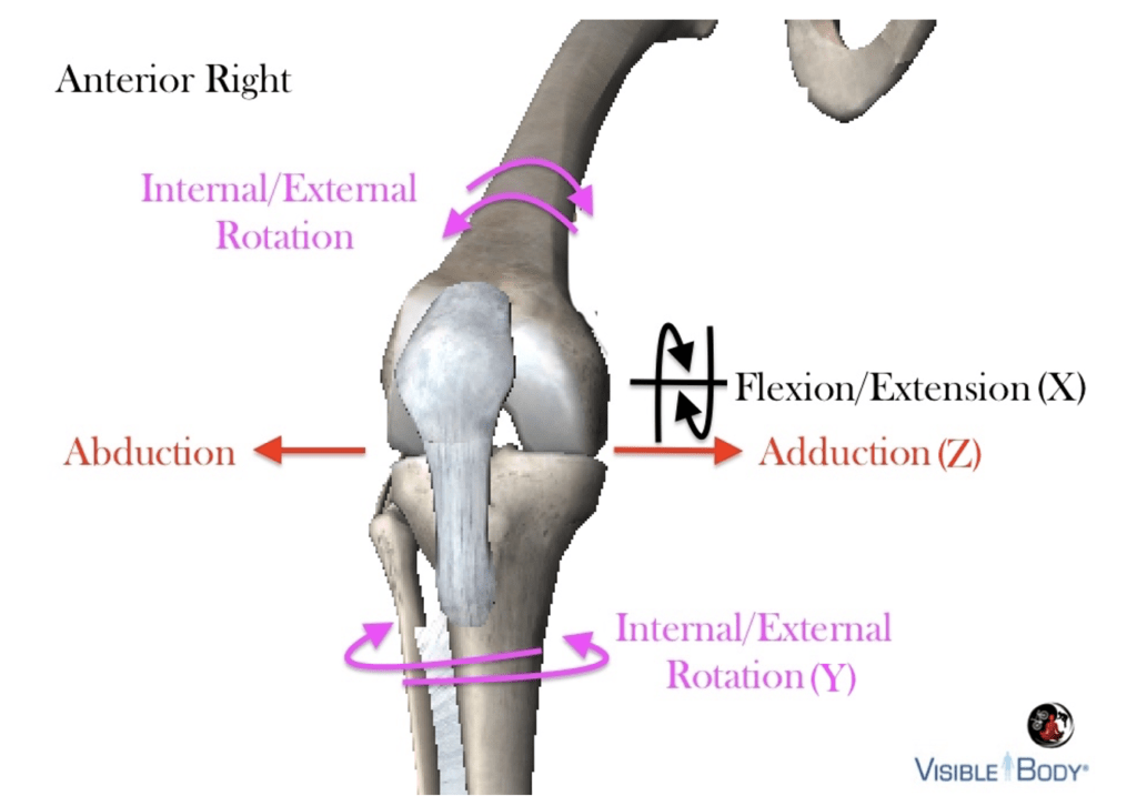 Knee Movement 101 – BicycleFitGuru.com