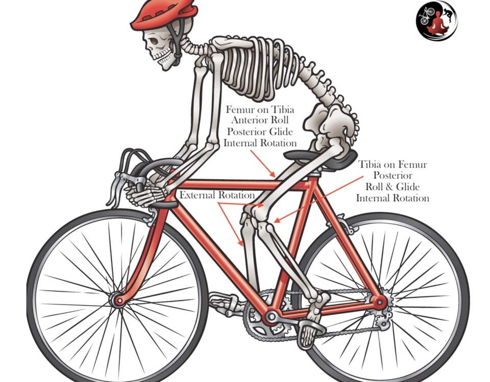 PEDALLING TECHNIQUE - Which is best? - The Steve Hogg Bike Fitting Team